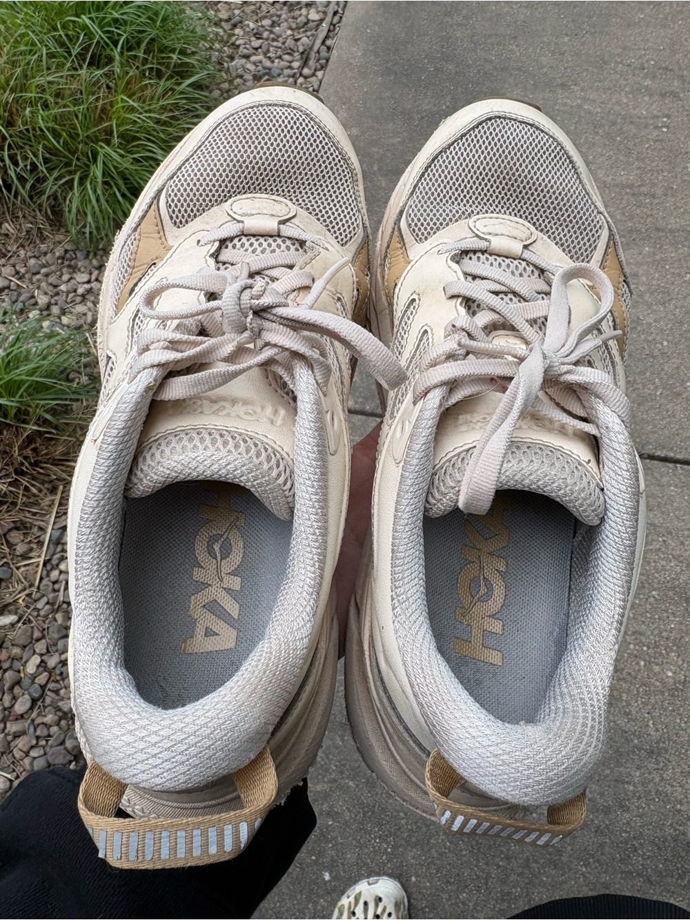 Hoka U Clifton L worn